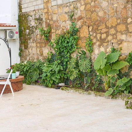 Villa Verde Pet-Friendly Cordova Esterno foto